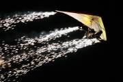 34IMG_4906