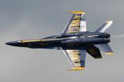 49IMG_5379