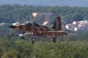 an5IMG_4355
