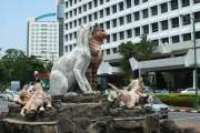 100IMG_3710