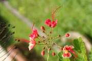 500IMG_5449