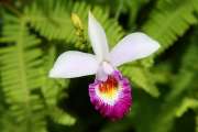 500IMG_5467