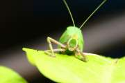 670IMG_4536