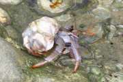 800IMG_5148