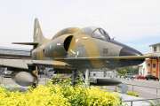 900IMG_5431