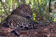 100IMG_2384