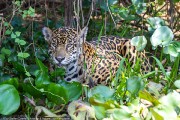 100IMG_6047