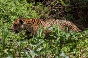 100IMG_6092