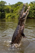 120IMG_0666