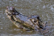 120IMG_2760