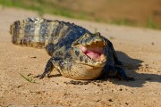 120IMG_4852