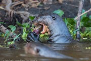140IMG_1658