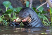 140IMG_1676