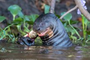 140IMG_1677