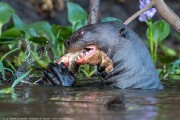 140IMG_1683