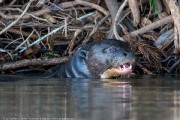 140IMG_1853