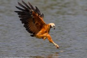160IMG_3963