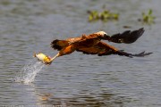 160IMG_3964
