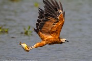 160IMG_3965