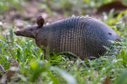 180IMG_2990
