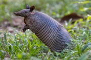 180IMG_2996