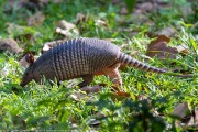 180IMG_6181