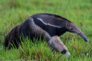 220IMG_6626