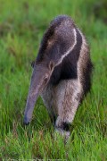 220IMG_6634