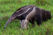 220IMG_6641