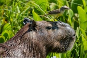 300IMG_2614