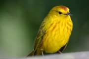 210IMG_0053