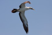 221IMG_0358
