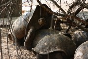 243IMG_0905