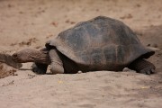 243IMG_1742