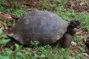 250IMG_1108