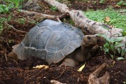 250IMG_1110