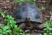 250IMG_1115