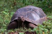 250IMG_2937