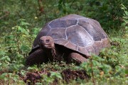 250IMG_2940