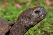 250IMG_2945