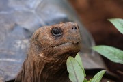 250IMG_2957