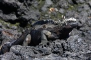 271IMG_1424