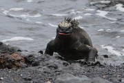 271IMG_2517