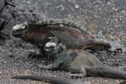 271IMG_2562