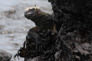 271IMG_2644