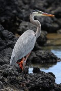 273IMG_2740
