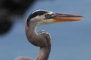 273IMG_2747