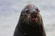 275IMG_2686