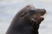 275IMG_2693