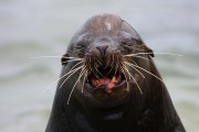 275IMG_2717
